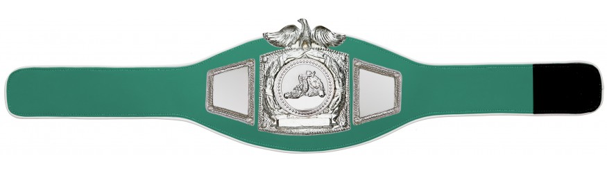 PROEAGLE JIU JITSU CHAMPIONSHIP BELT - PROEAGLE/S/JJS - AVAILABLE IN 6+ COLOURS